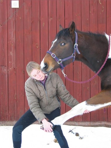 Spark får streching daglig..